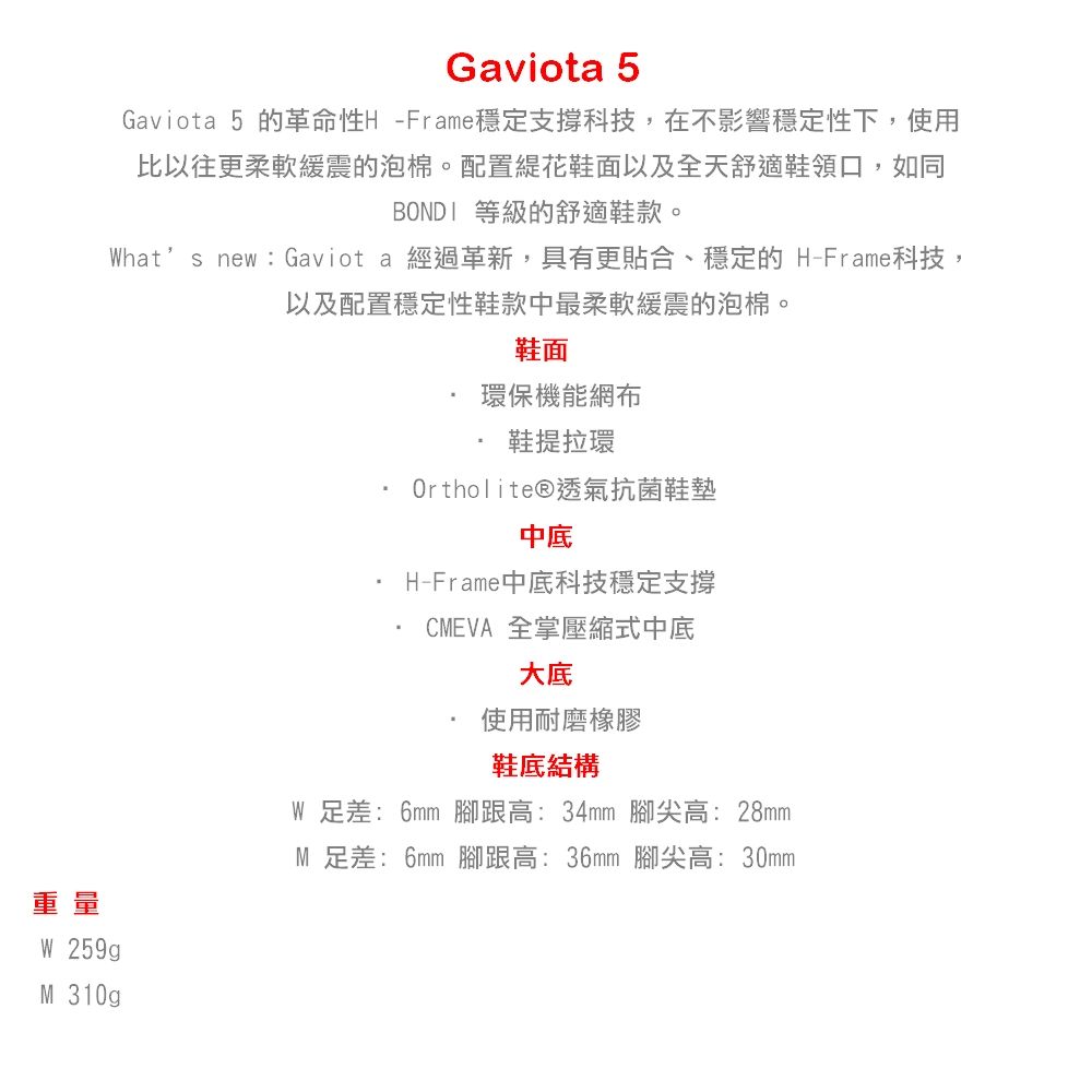 gaviota 5.jpg